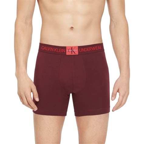 calvin klein men's undies.